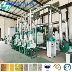 20TPD Corn Processing Equipment