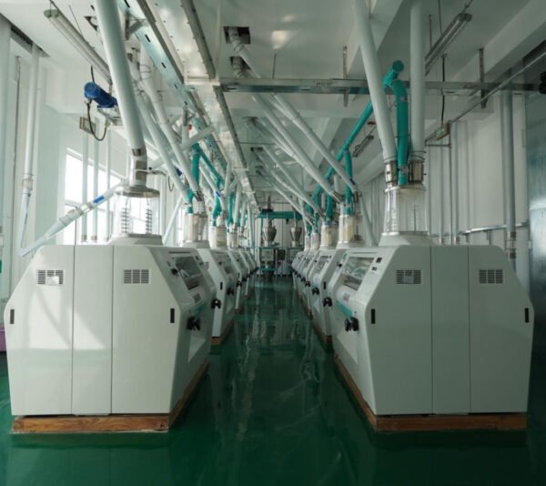 100 Tons Wheat Flour Mill Plant