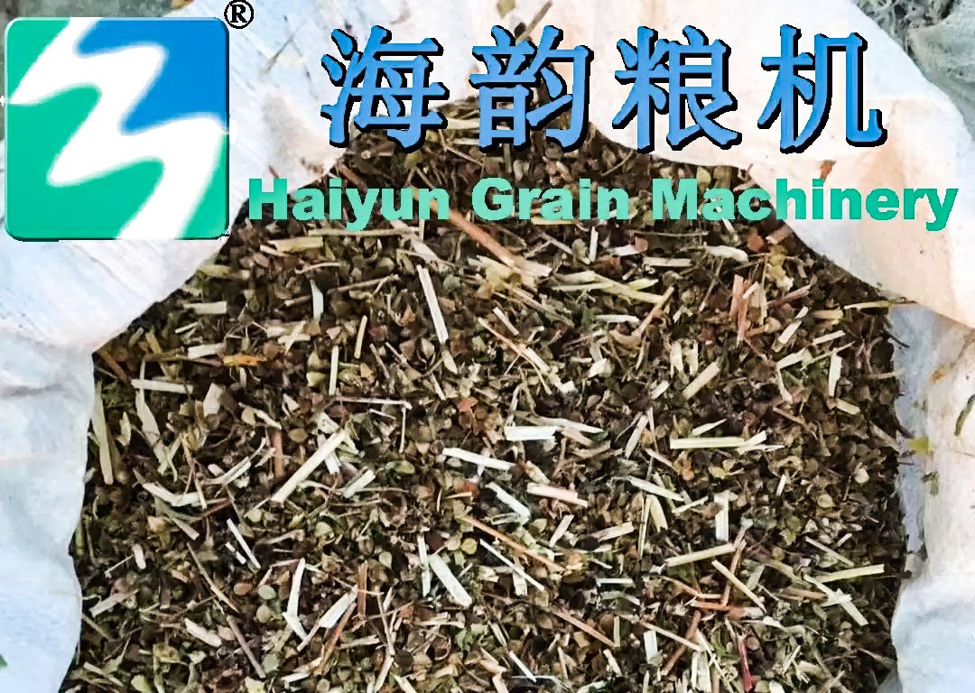 2000 kg/h Buckwheat Cleaning Machine - Image 7