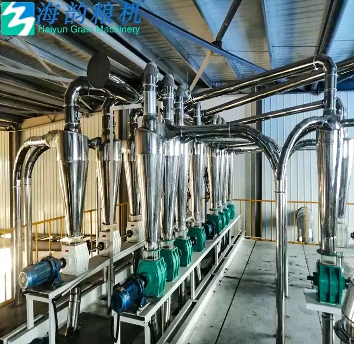 80TPD Sorghum Flour Mill - Image 4