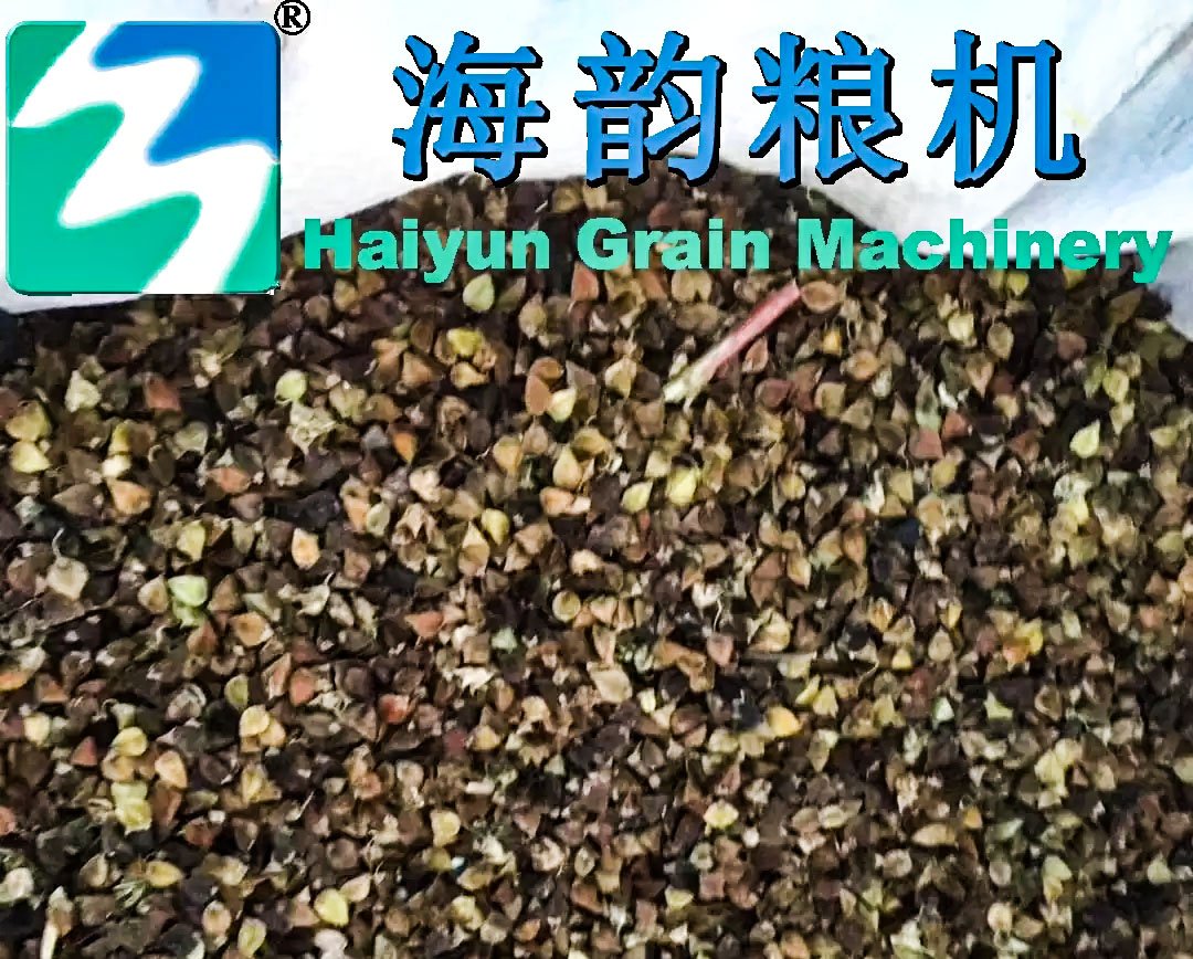 2000 kg/h Buckwheat Cleaning Machine - Image 8