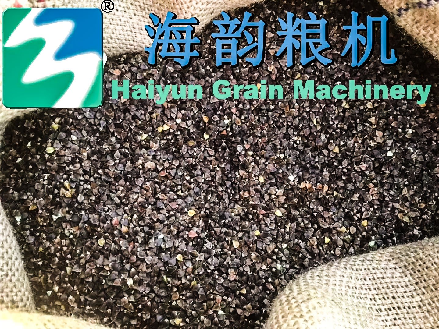 2000 kg/h Buckwheat Cleaning Machine - Image 9