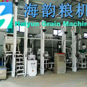 20 Tons per Day Millet Mill
