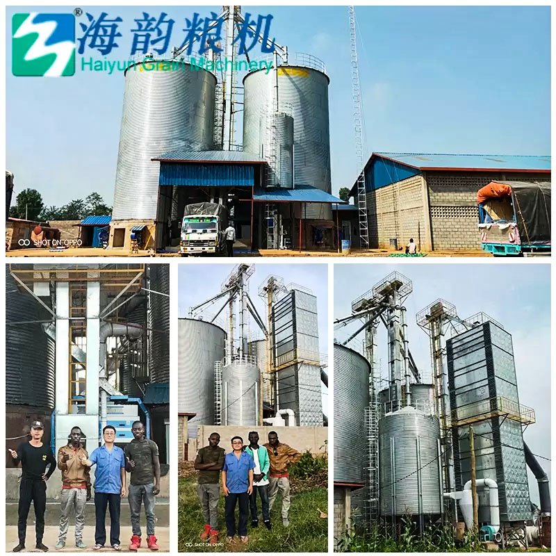 300T/D Corn Dryer Tower + 1200T Storage Silo - Image 3