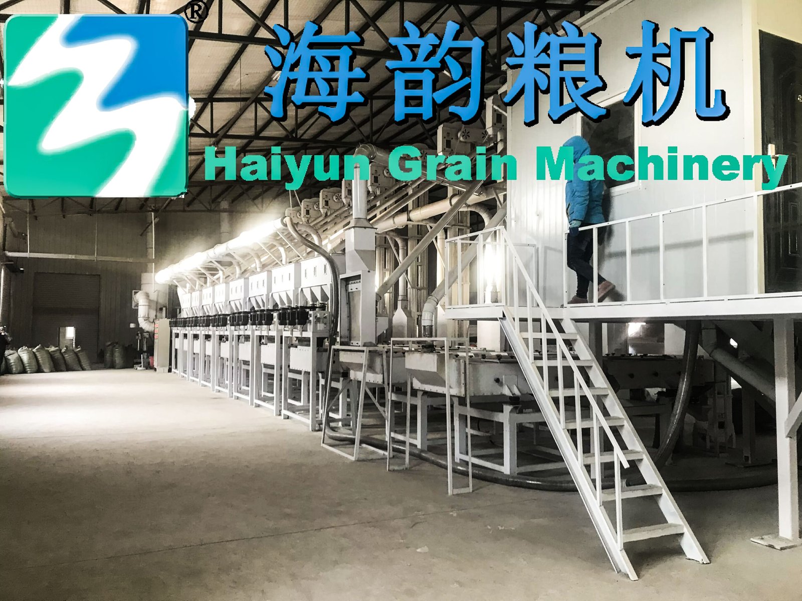 50 Tons Buckwheat Flour Mill - Image 4