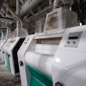 100TPD Maize Processing Line