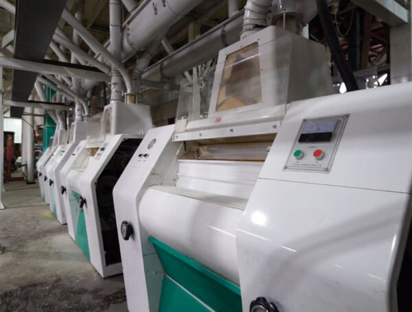 100TPD Maize Processing Line